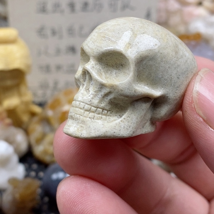 颈饰未镶嵌硅化珊瑚（珊瑚玉）