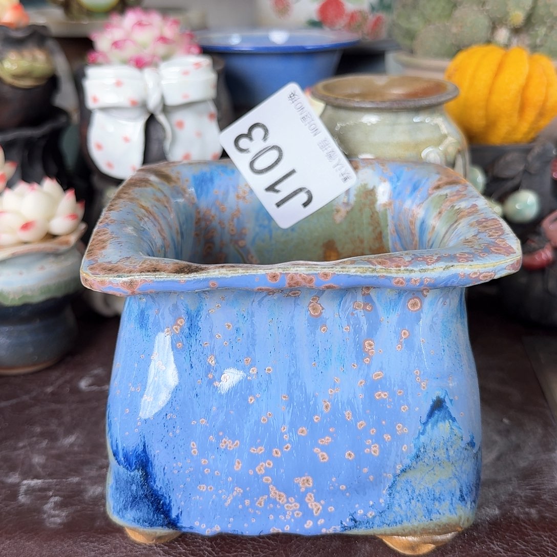 重庆小燕子欢迎大家103