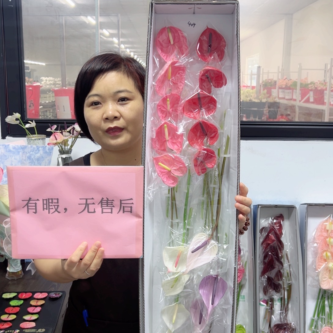 完全开放混色-20枝装无售后款404