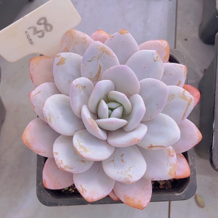 健健康康平平安安