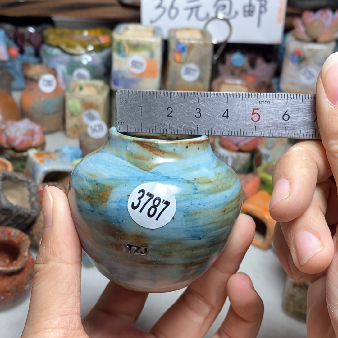 拍5送一个小礼物