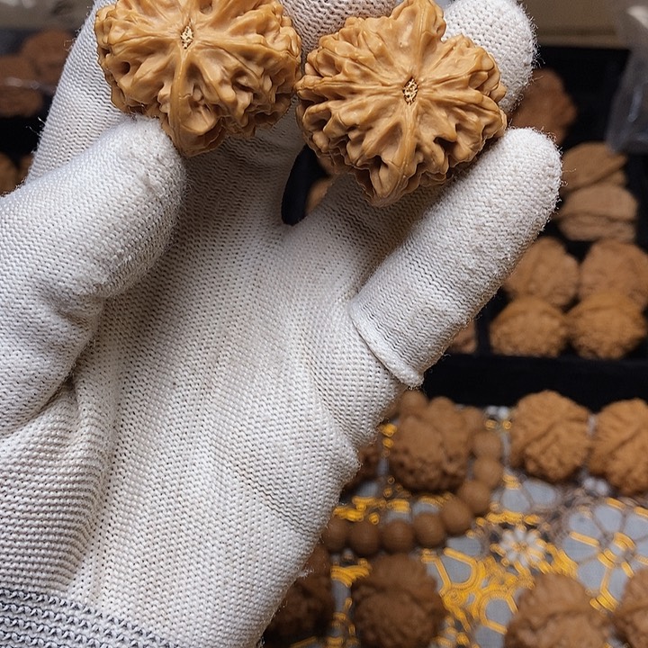 文玩核桃把件歸**網秦岭秦闷