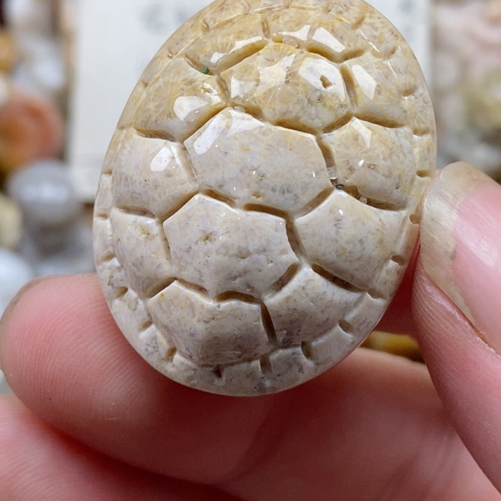 颈饰未镶嵌硅化珊瑚（珊瑚玉）有瑕