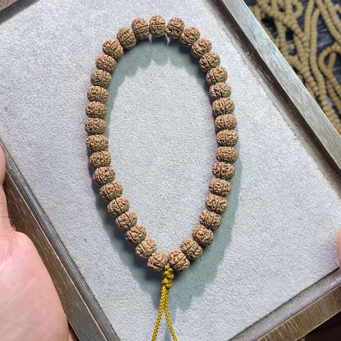 手串金刚菩提六瓣 凹底梅花 货头