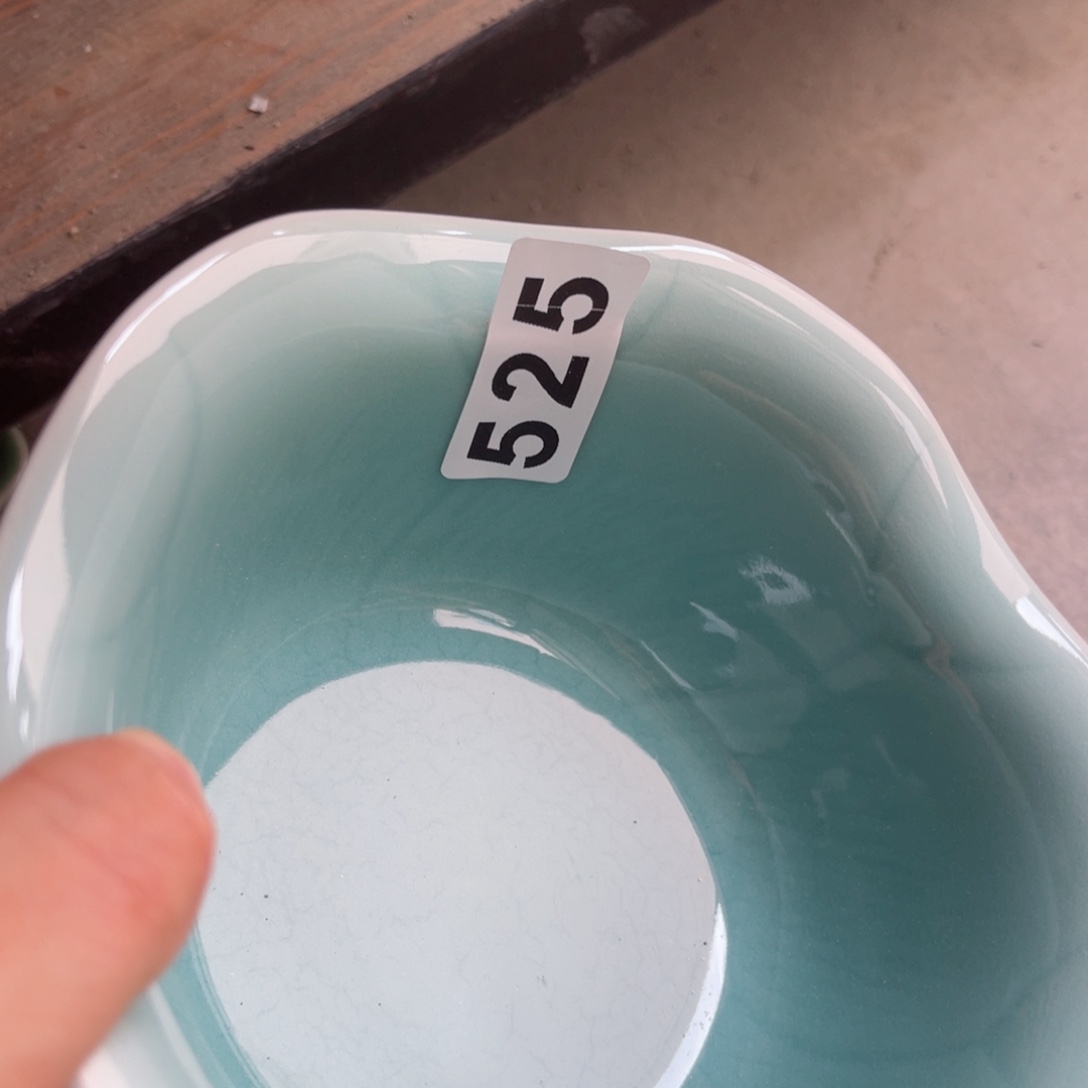 青瓷哈哈哈哈哈哈哈哈哈哈哈哈