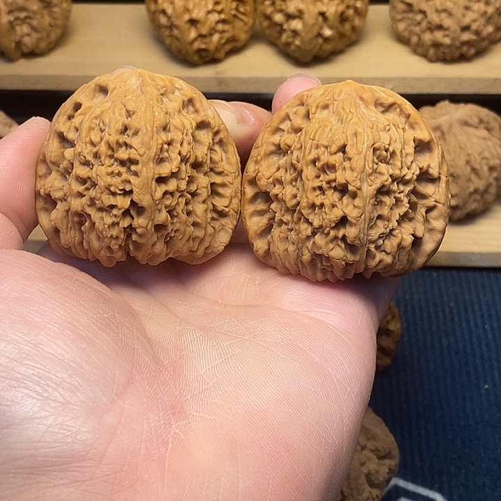 核桃47南疆石福利