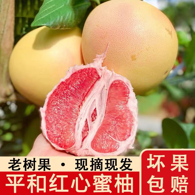 福建平和老树三红蜜柚琯溪蜜柚新鲜应季皮薄肉厚多汁香甜孕妇水果