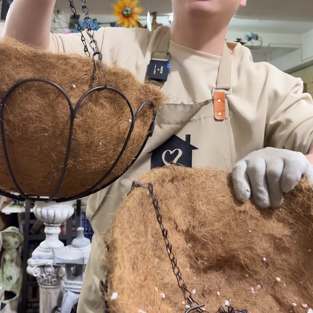 核桃木/黑胡桃（胡桃木）