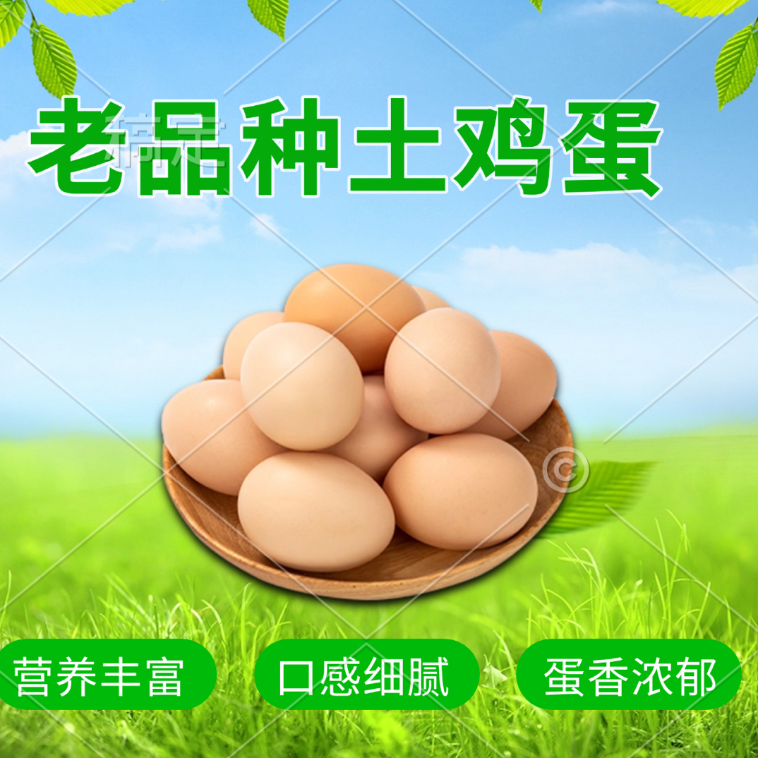 孵拍这个云南纯老品种土鸡蛋受精率百分之 70 以上毛腿光腿备注好