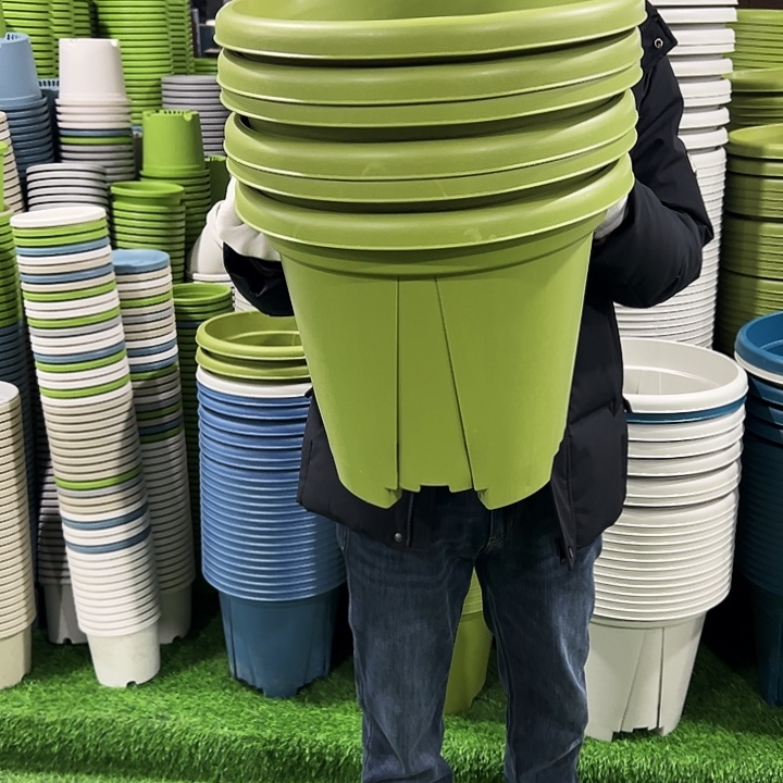 清仓青山口40高34果绿5只无托