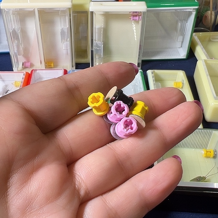 蟋蟀哈哈哈哈哈哈哈哈哈哈哈