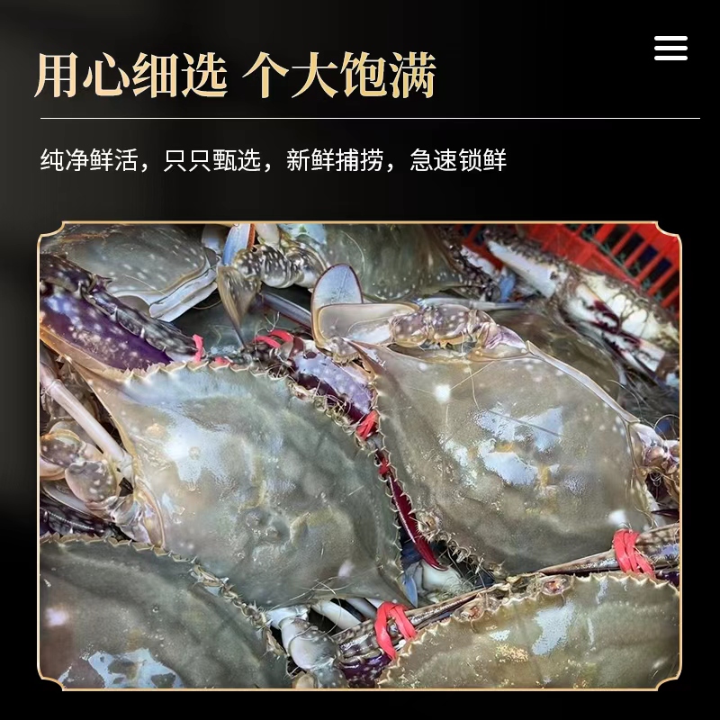 【保鲜不保活】石岛鲜活梭子蟹 公蟹 5-6两一只 一斤2只 顺丰活发
