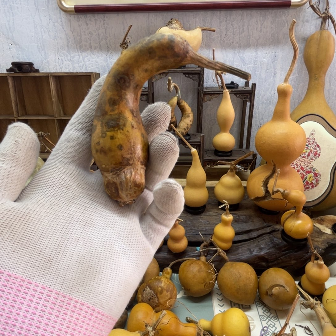 俗***耐葫芦葫芦葫芦葫芦葫芦