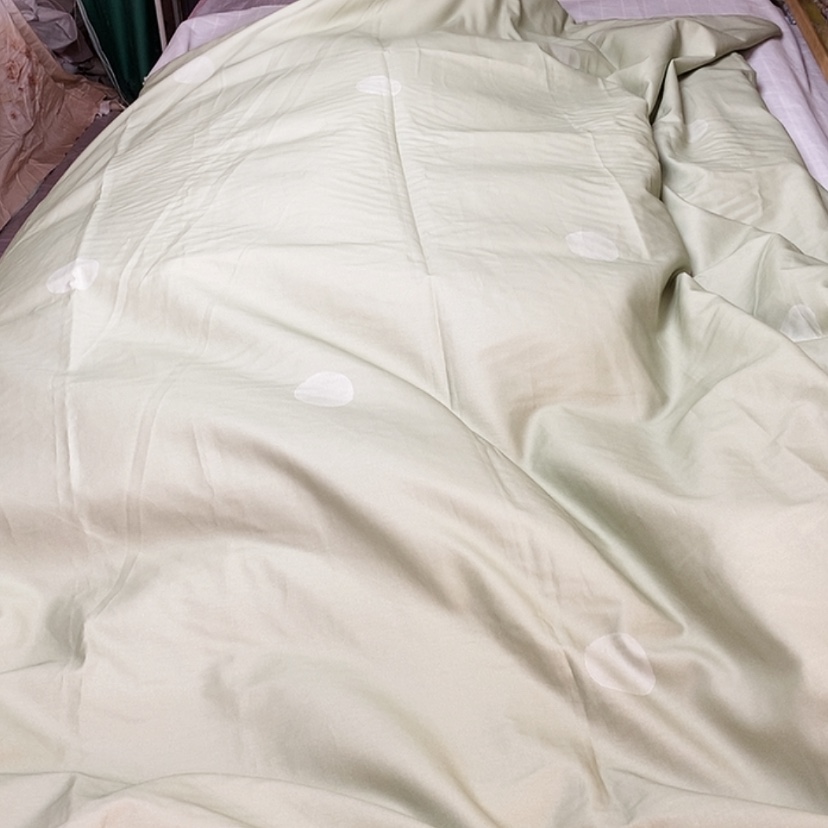 【闪购商品】棉150-200被套