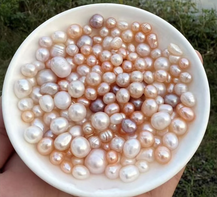 七彩无核一个（活体不退换）可定制DIY