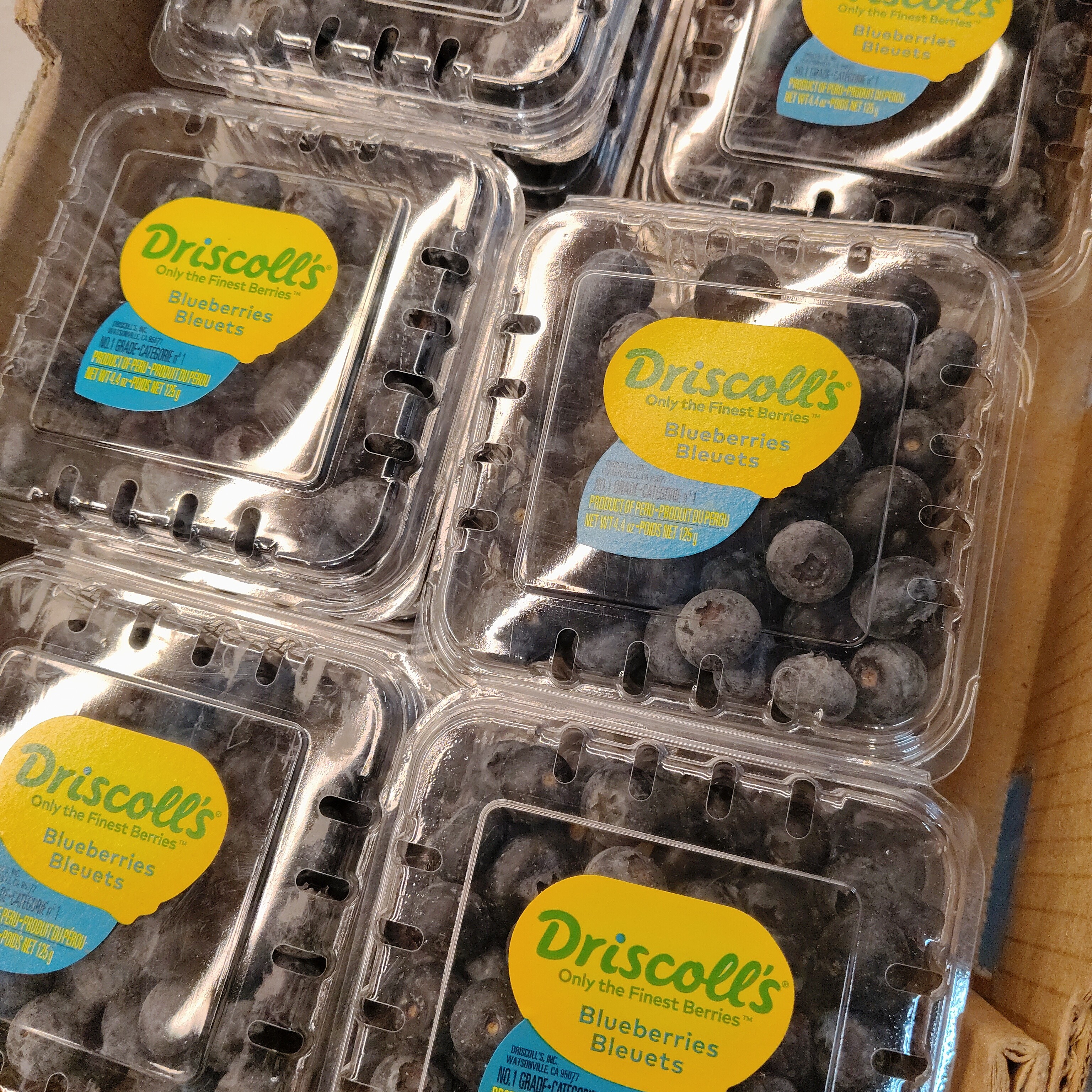 秘鲁怡颗莓(脆甜)浙江省