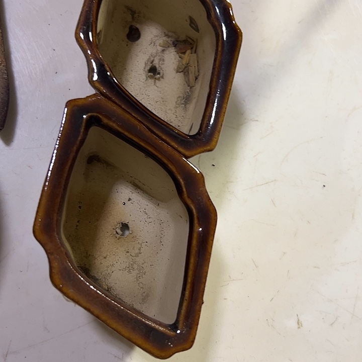 龍***。我就不去了啊我不