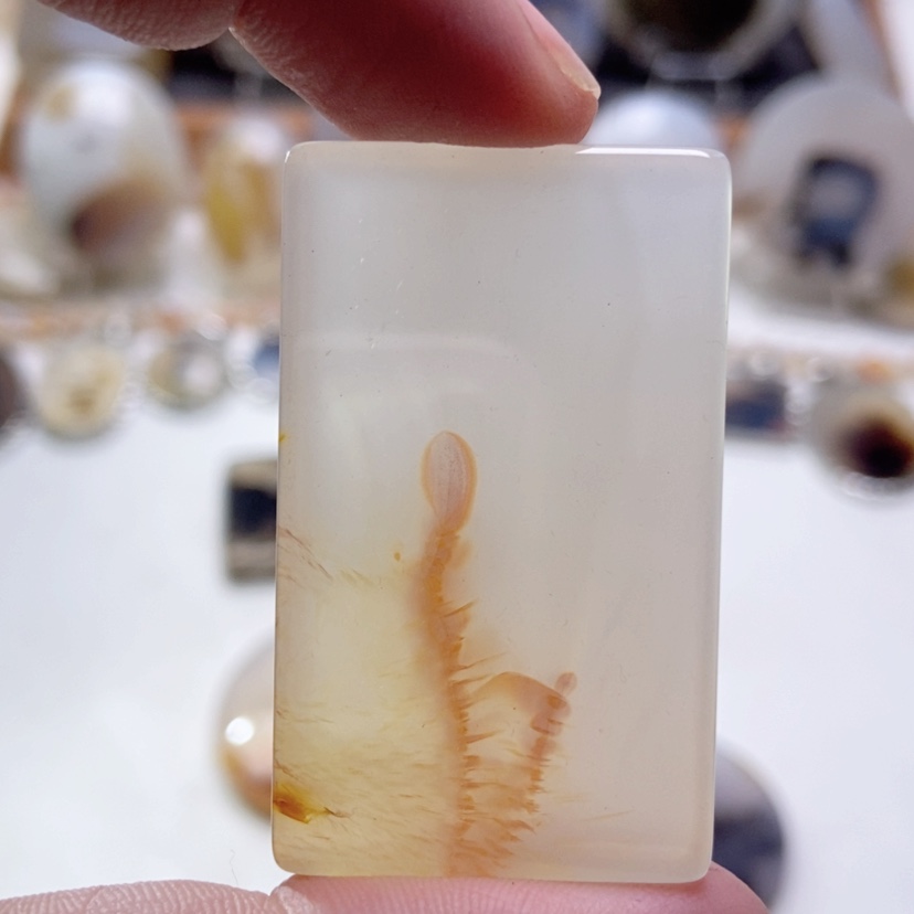 【闪购商品】玛瑙/玉髓颈饰未镶嵌