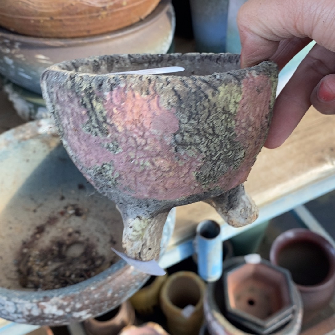 149号多肉盆口径9