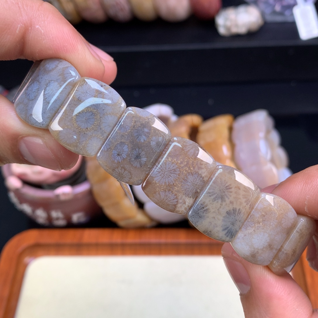 硅化珊瑚（珊瑚玉）未镶嵌颈饰20号黑咖色大花花