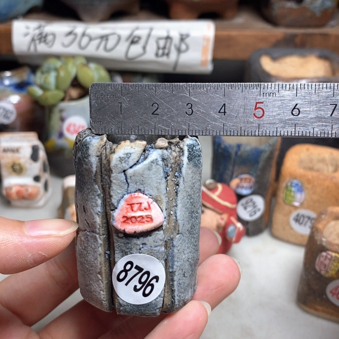 拍3送一个小礼物