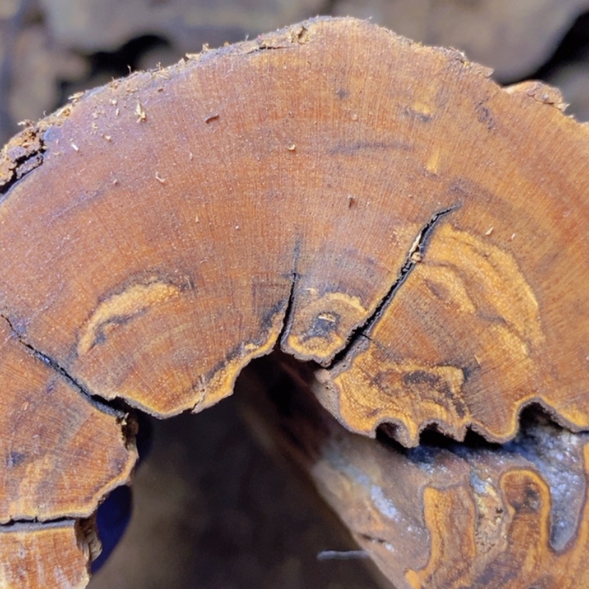 【闪购商品】贡木把件唐**爸定制新款