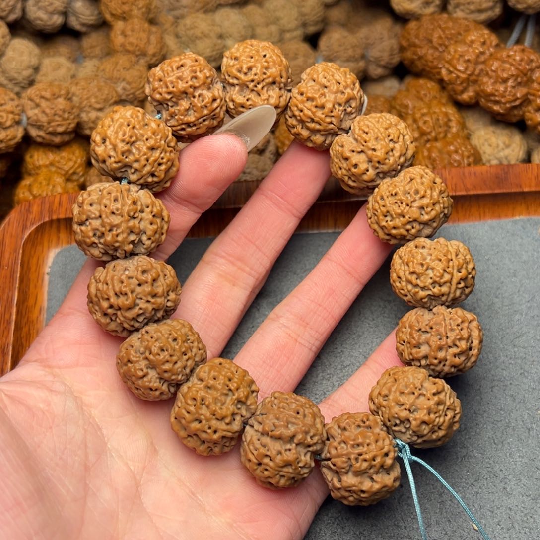 菩提23号尼泊尔大金刚22针孔蜂窝