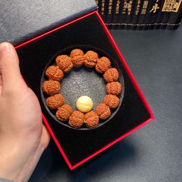 超头新籽吊炸天（12号）