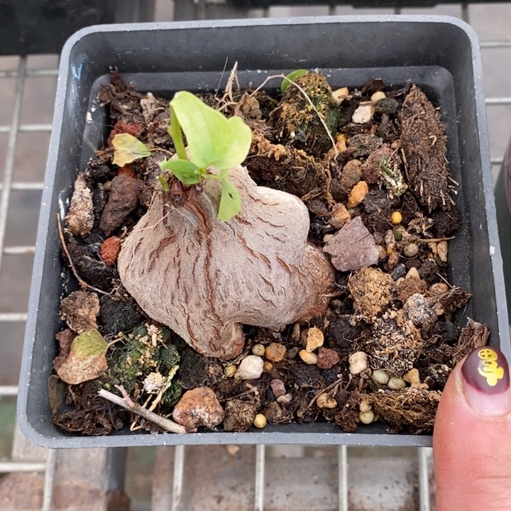 伯克利和他的朋友在一起的