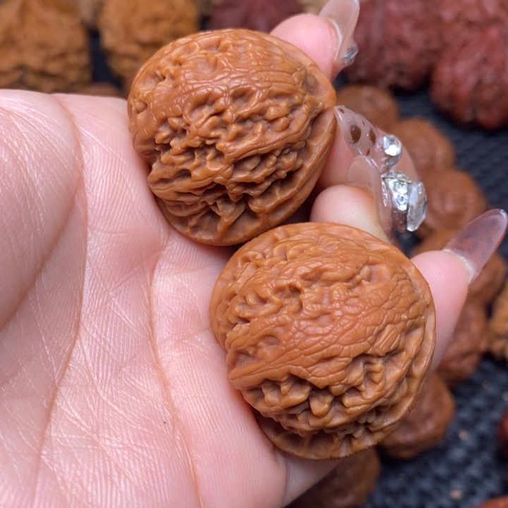 秦岭野生0000000000020