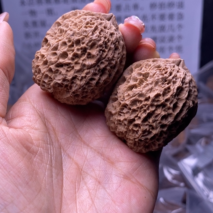 核桃云南野生铁核桃125号40mm