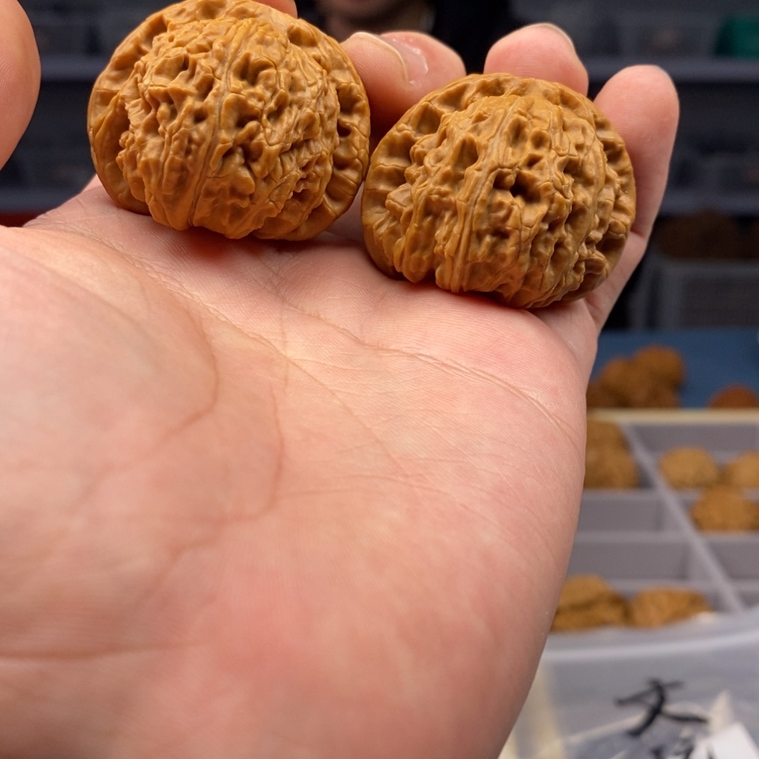 把件文玩核桃微修白狮子42m