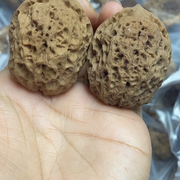 把件文玩核桃云南铁核桃基地87