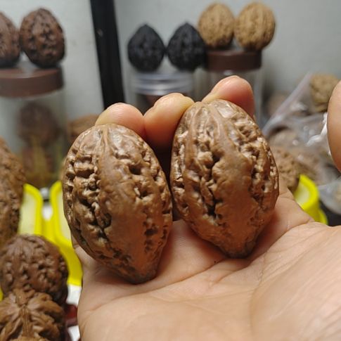 文玩核桃把件小*哥东北野生文玩核桃