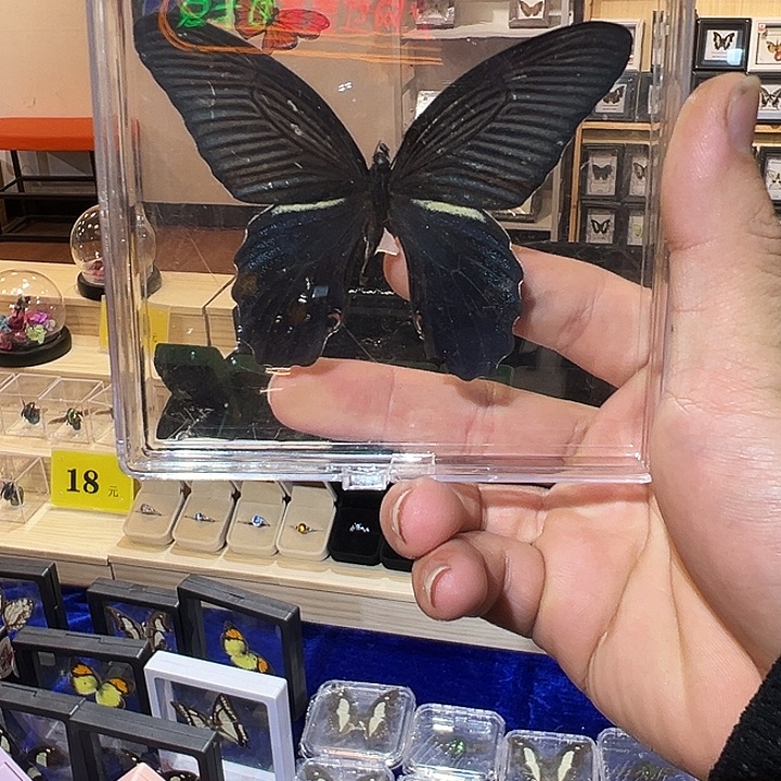 有机玻璃998665556777