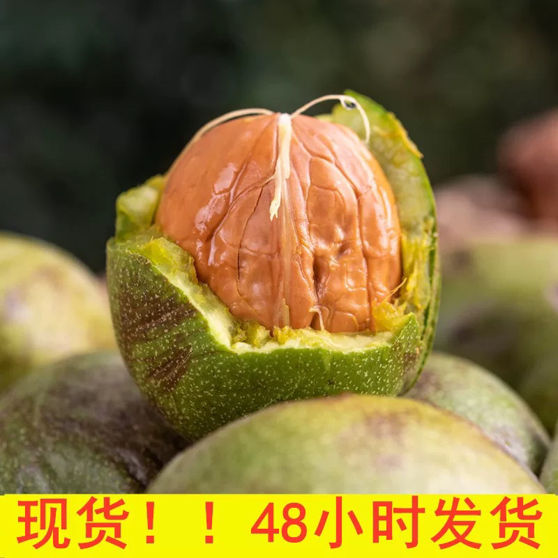 2025新鲜湿核桃薄壳脆嫩营养美味