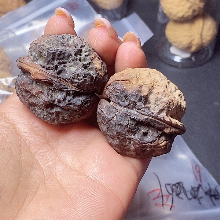 把件文玩核桃81-40mm