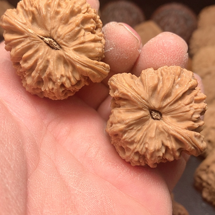 【闪购商品】翱***鹰南疆石