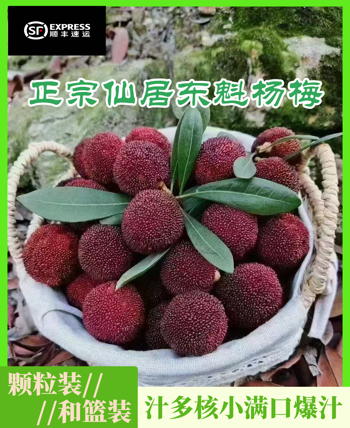 【东魁杨梅】浙江仙居杨梅现摘现卖