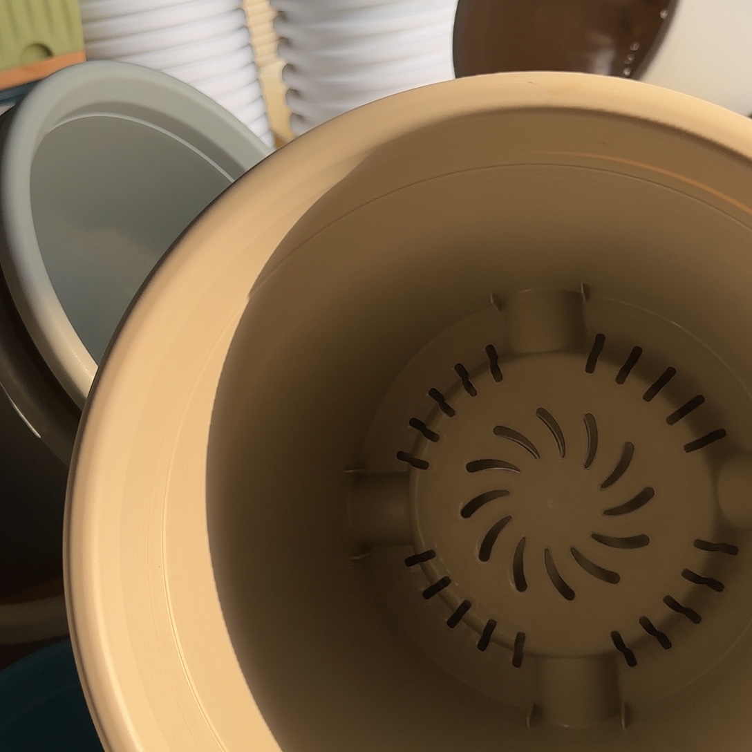 树脂四季5号无托6个灰白微瑕