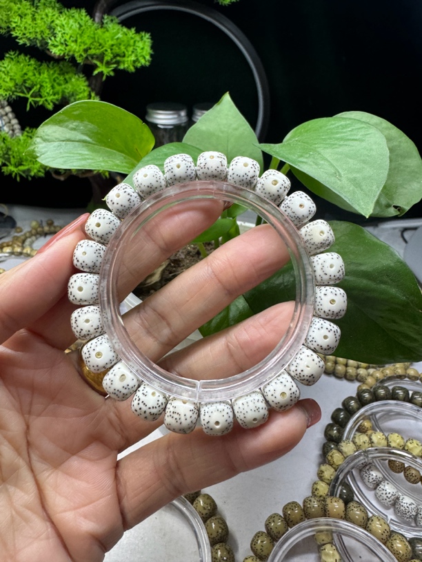 10.9小文星月老型桶