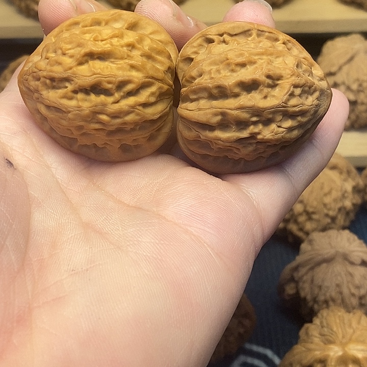 M***生核桃37金牛福利核桃