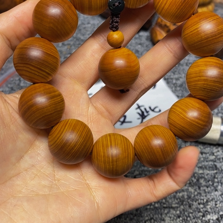 柏木（崖柏）崖柏354