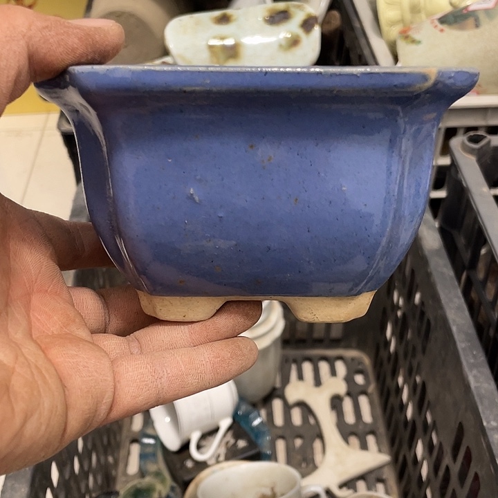 星***仔大叶紫檀（黑酸枝木类）