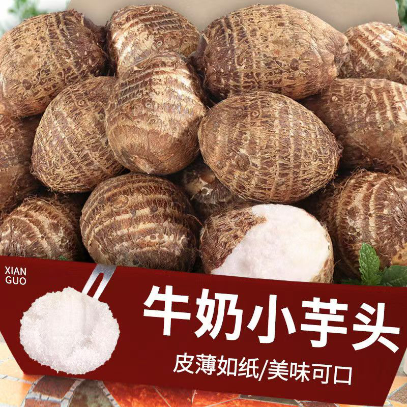 山东新鲜牛奶芋头现挖现发香甜软糯芋艿蔬菜毛芋头个大饱满