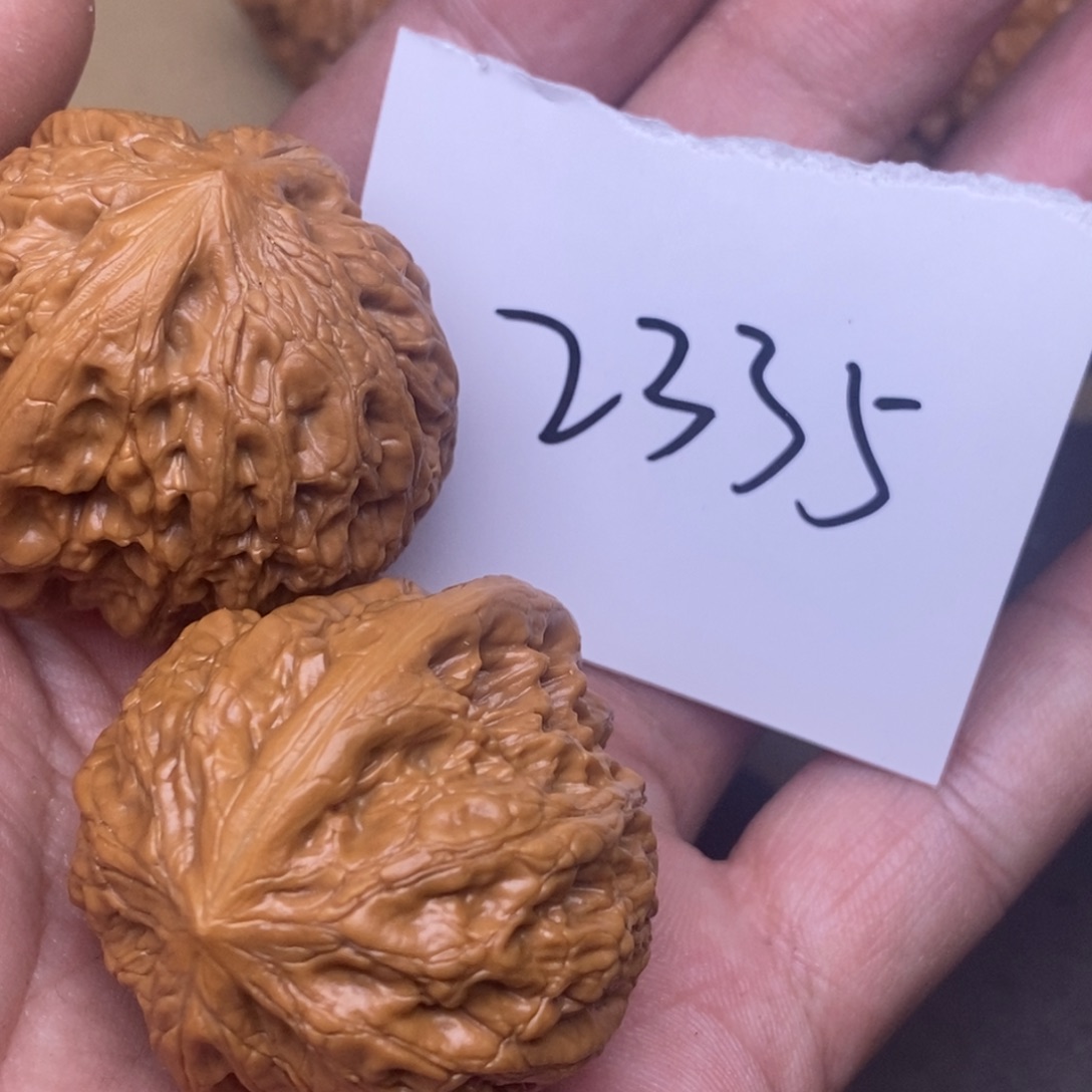 核桃铁锤妹妹尺寸38