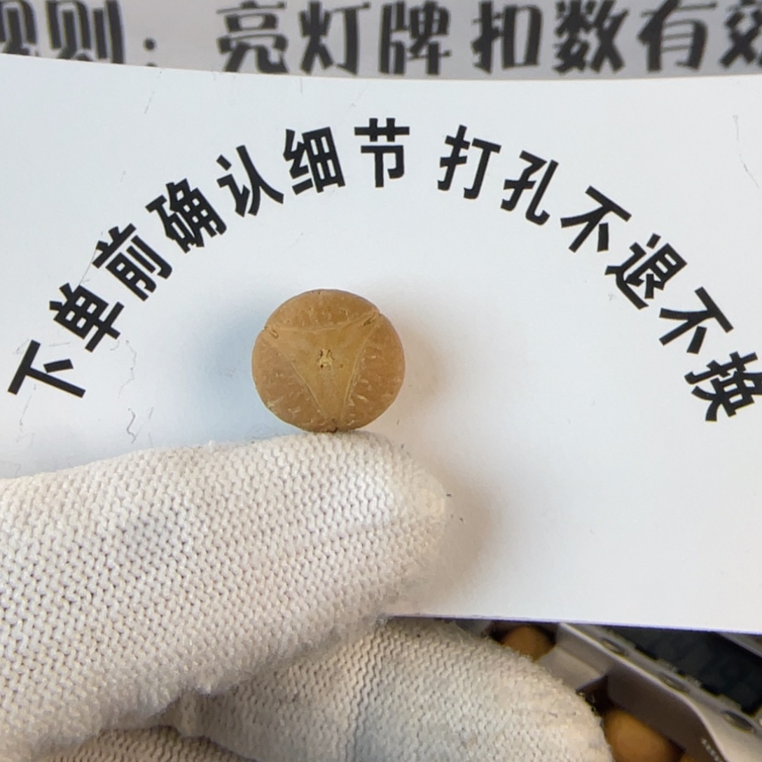 威****凤眼菩提吊坠凤眼菩提麒麟眼单颗 打孔不退不换