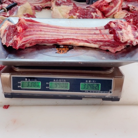 【闪购商品】冷冻保存30天包装河北省