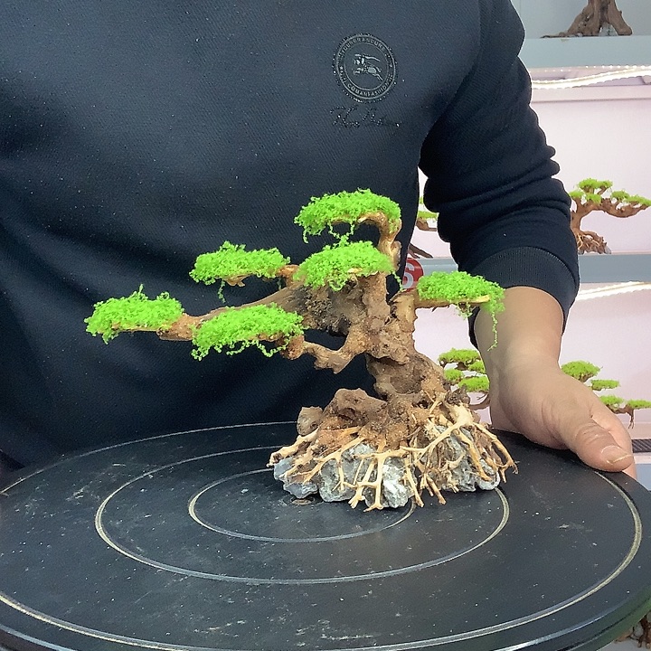 灵***君莫斯树9哈哈哈哈哈