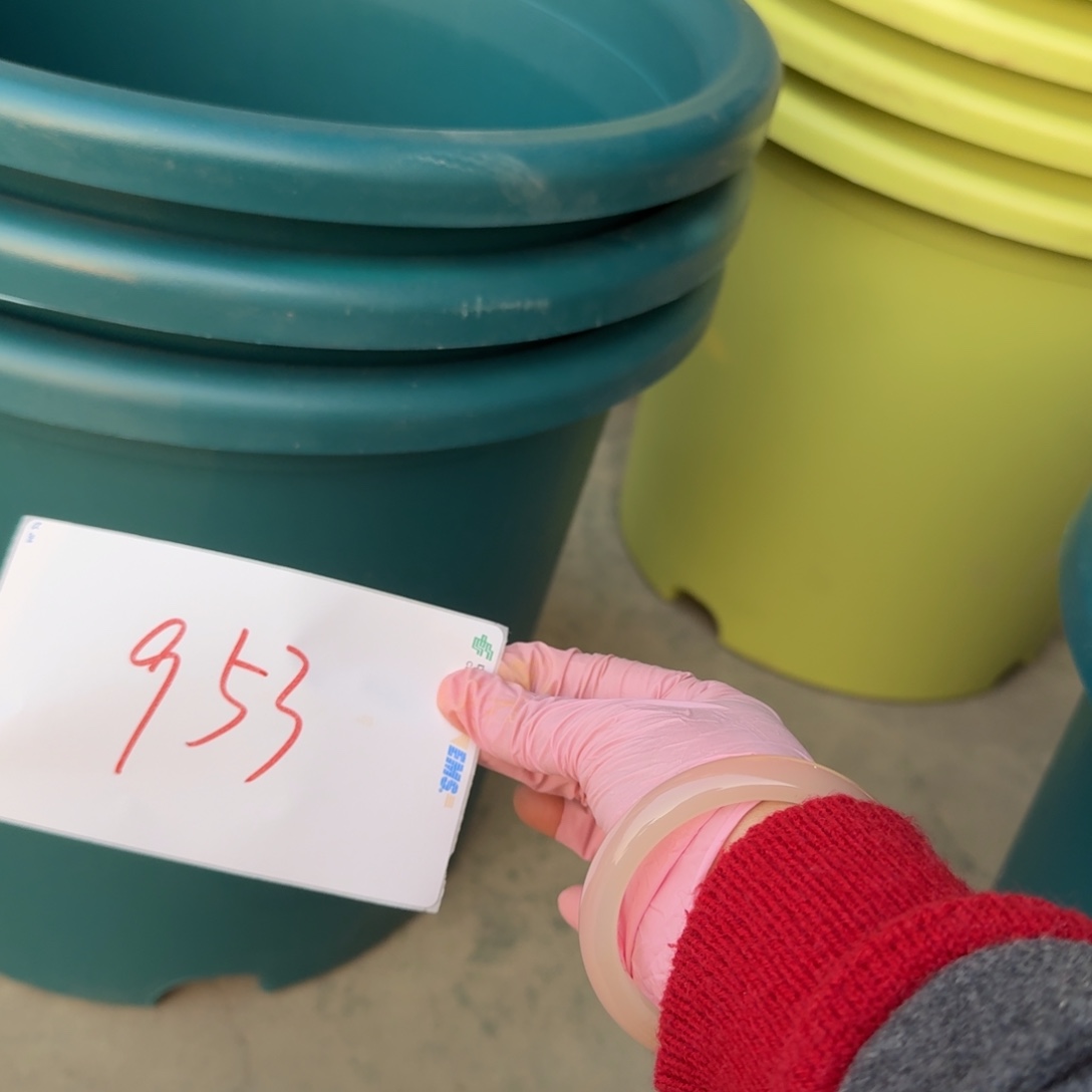 编号953磨损口径46